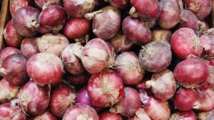 Onion Prices