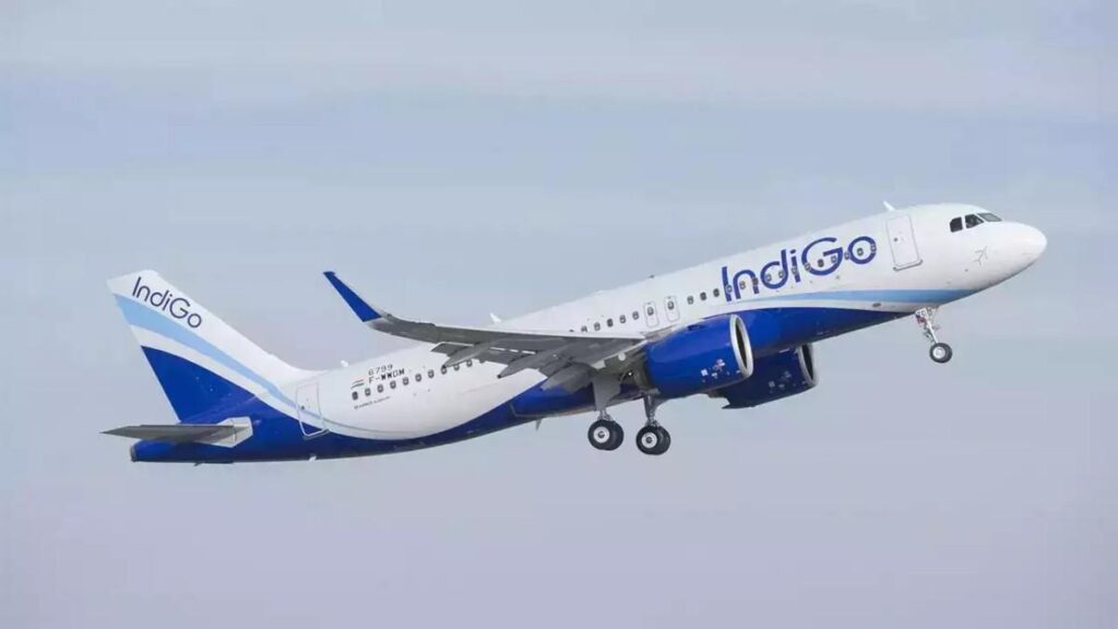 Indigo Flight