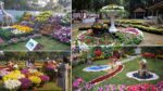 Just Two Days to Go: Pune’s Highly Anticipated Annual Flower Show at Empress Gardens Begins from January 24