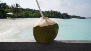 How to Choose a Coconut