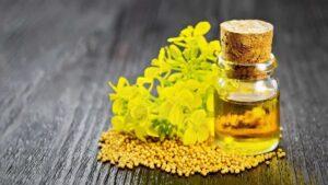 Mustard oil ban