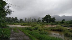 Tamhini Ghat monsoon tourism ban