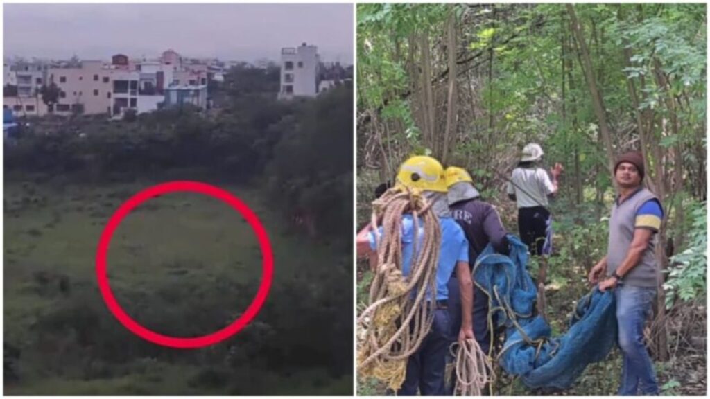 Leopard sighted in college campus