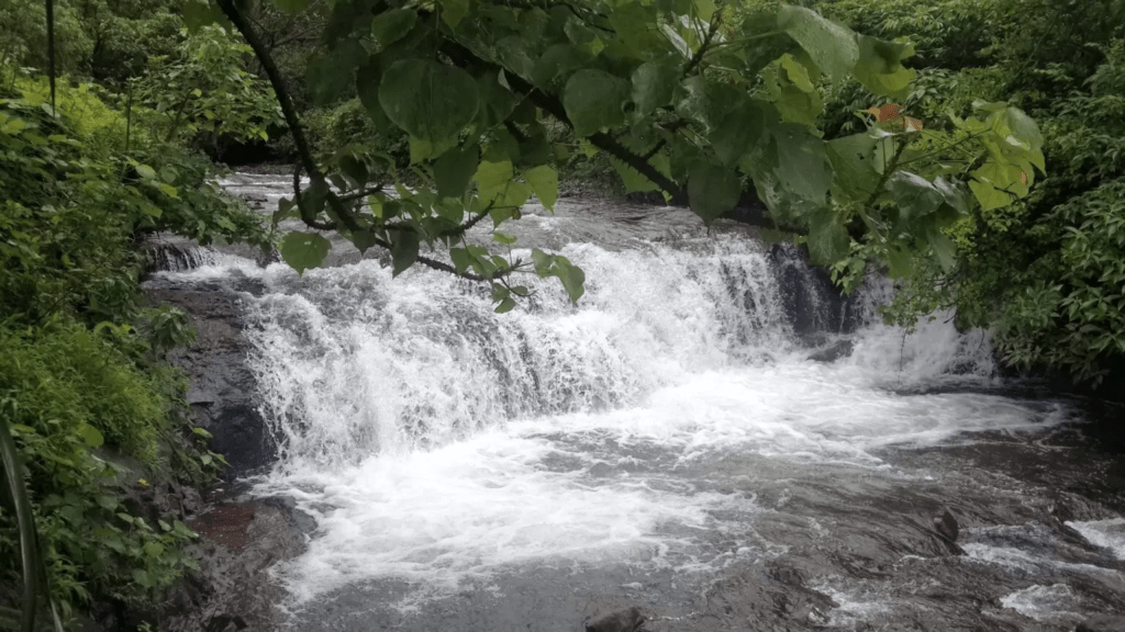 Tamhini Ghat