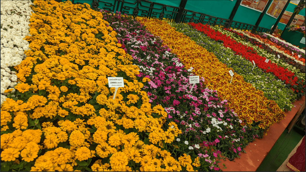 Independence Day Flower Show