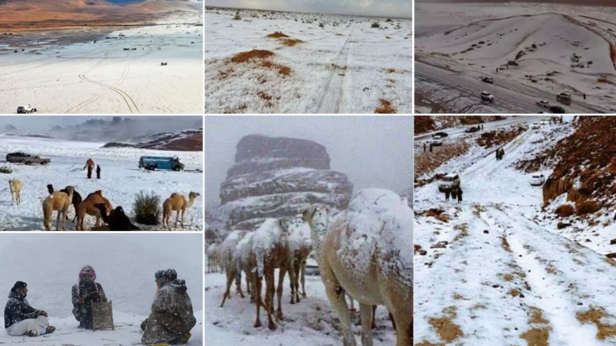 Snowfall in Saudi Arab Desert Check videos, pictures and other details