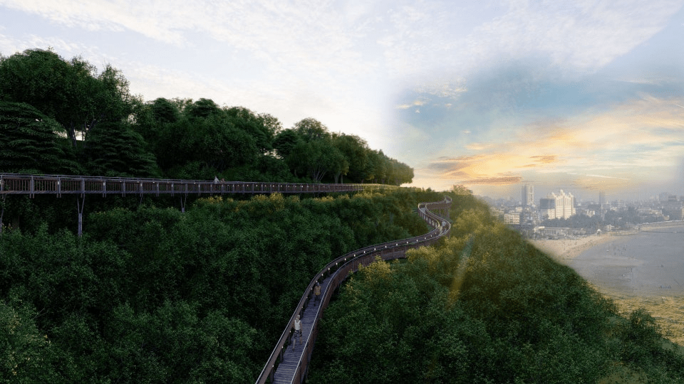 Elevated forest walkway in Mumbai, showcasing views of Malabar Hill forest and the Arabian Sea