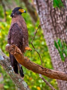 Winter Birding Spots