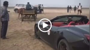 Ferrari Rescued by Bullock Cart