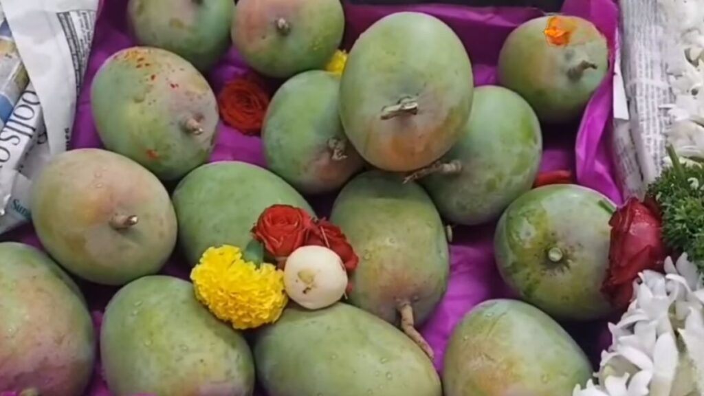 Pune Kesar Mango Auction