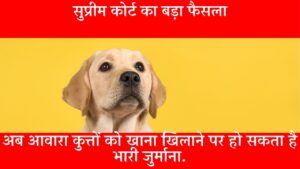 Supreme Court Stray Dogs New Rules Feeding Sterilization